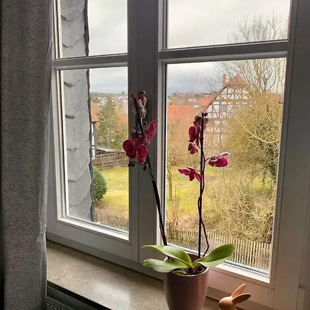 Apartmán Modern Wohnen Im Fachwerkhaus Im Herzen Wolfhagens - 2 Schlafzimmer, Parkplatz - B1 Wolfhagen