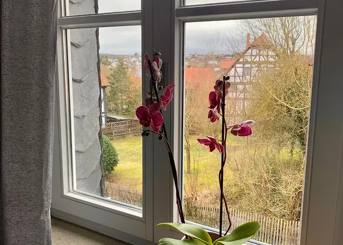 Apartament Modern Wohnen Im Fachwerkhaus Im Herzen Wolfhagens - 2 Schlafzimmer, Parkplatz Wolfhagen